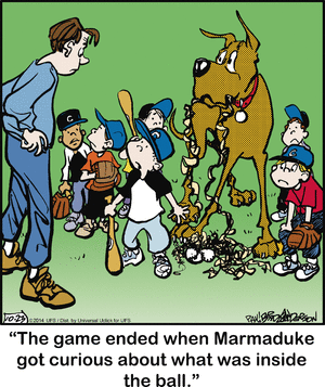 marmaduke